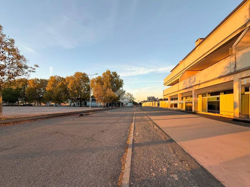 immagine annuncio 13 di 14