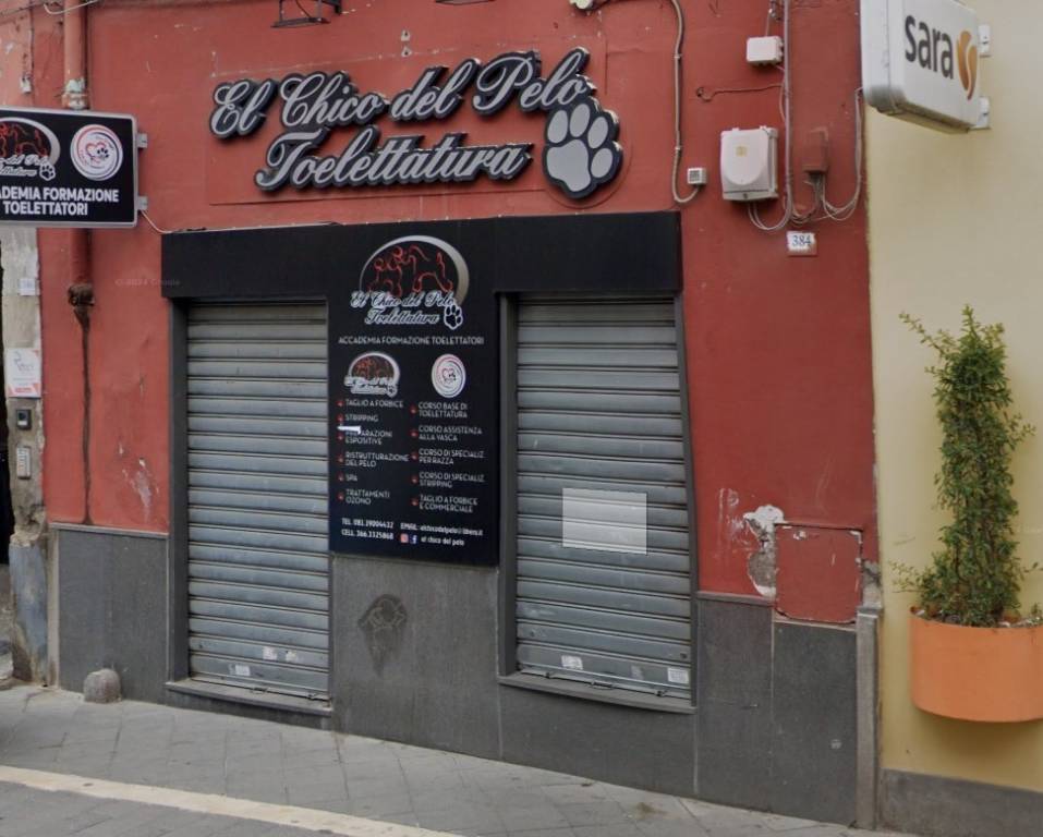 immagine annuncio 1 di 9