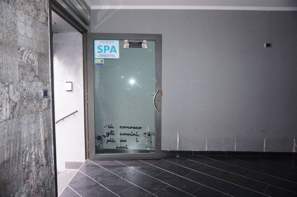 immagine annuncio 7 di 9