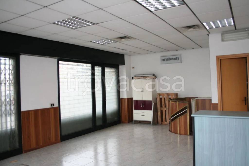 immagine annuncio 3 di 12