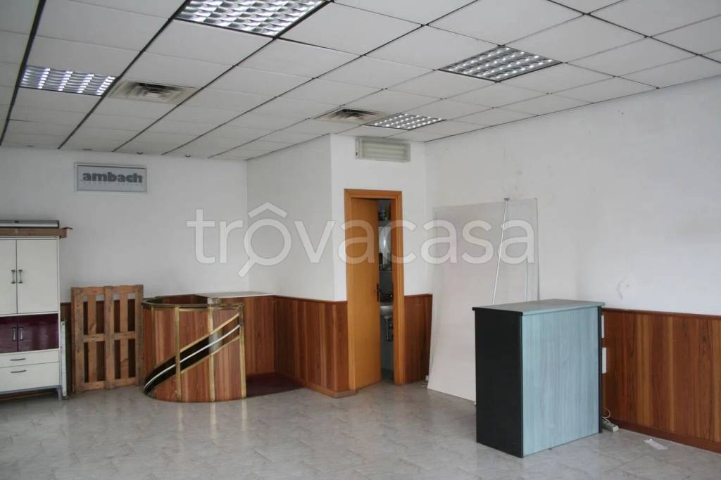 immagine annuncio 4 di 12