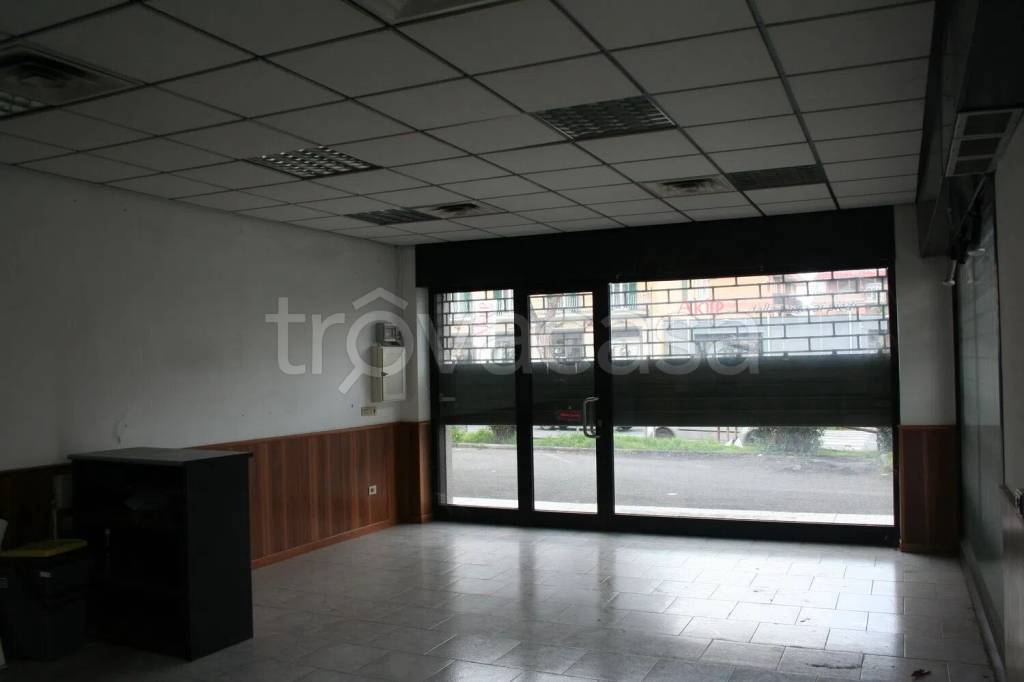 immagine annuncio 5 di 12