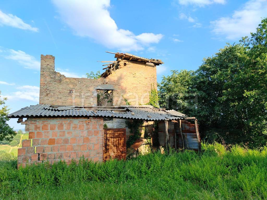 immagine annuncio 3 di 8