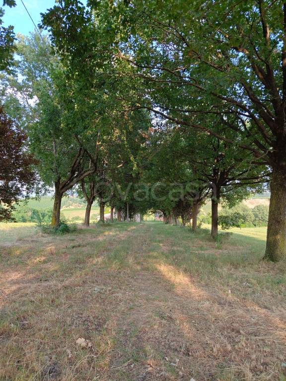 immagine annuncio 7 di 8