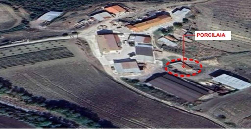 immagine annuncio 4 di 12