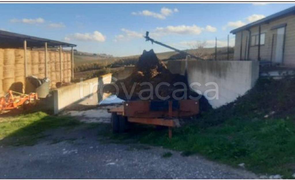 immagine annuncio 6 di 12