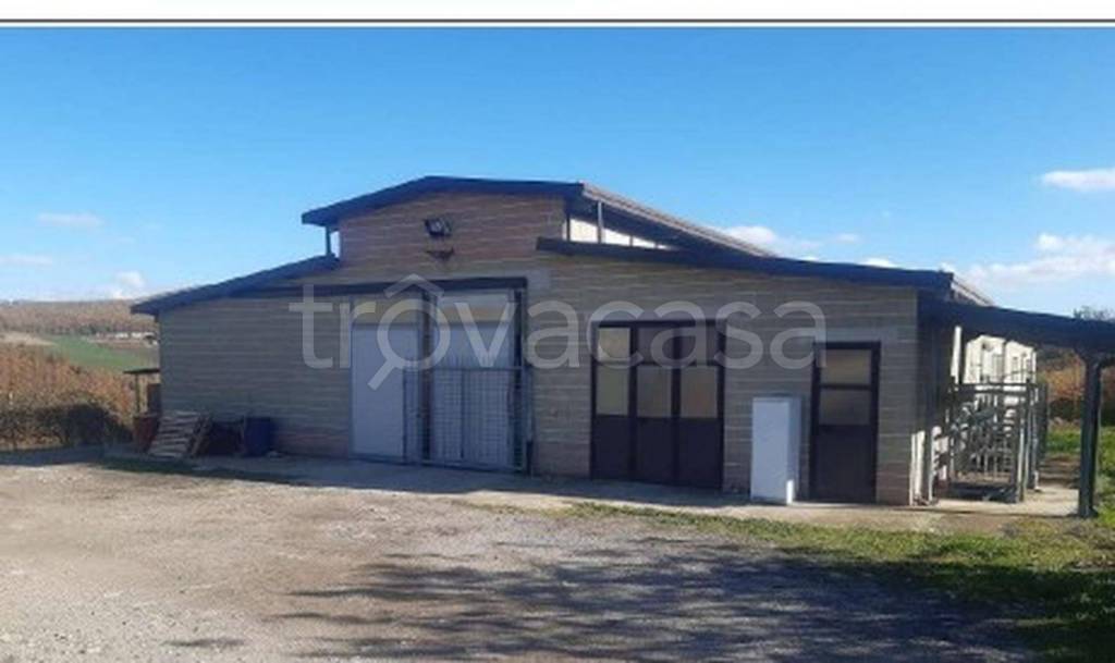 immagine annuncio 10 di 12