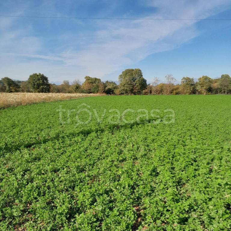 immagine annuncio 4 di 8