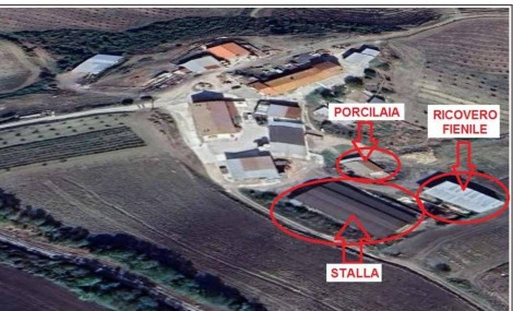 immagine annuncio 11 di 12