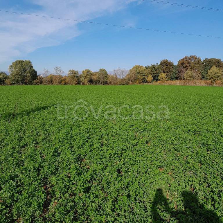 immagine annuncio 6 di 8