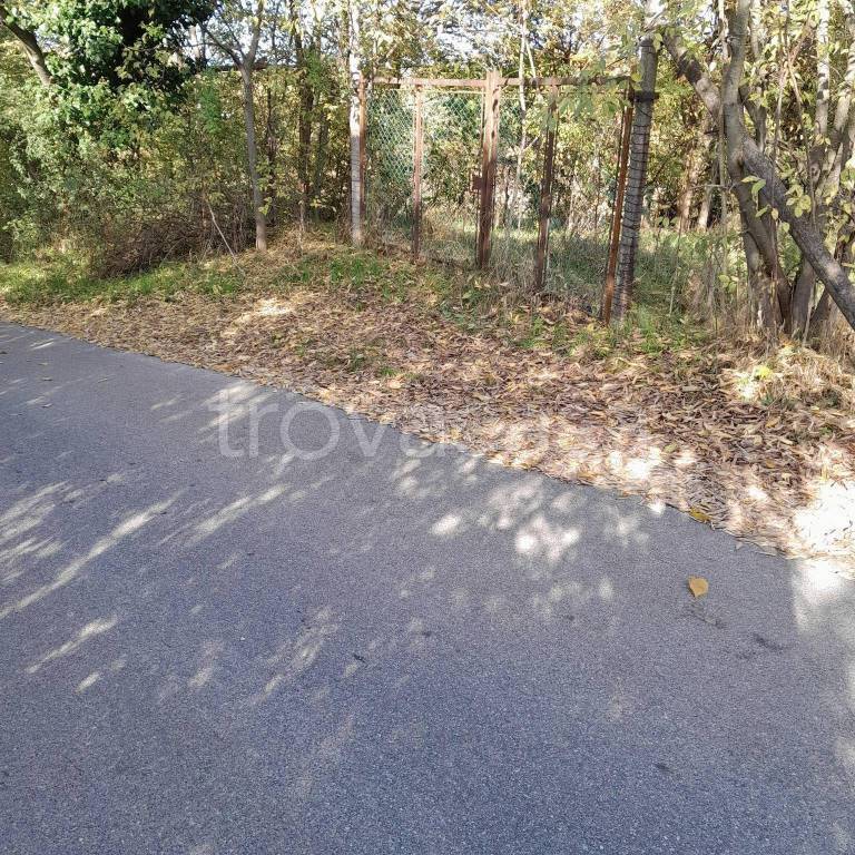 immagine annuncio 7 di 8