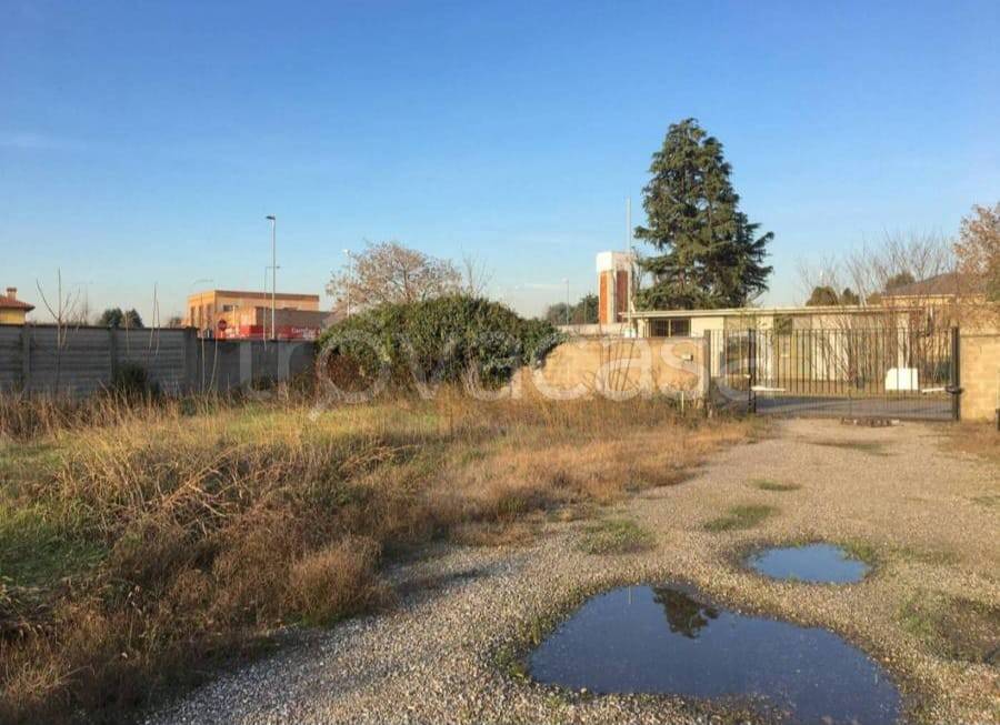 immagine annuncio 11 di 15