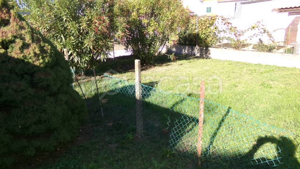 immagine annuncio 6 di 14