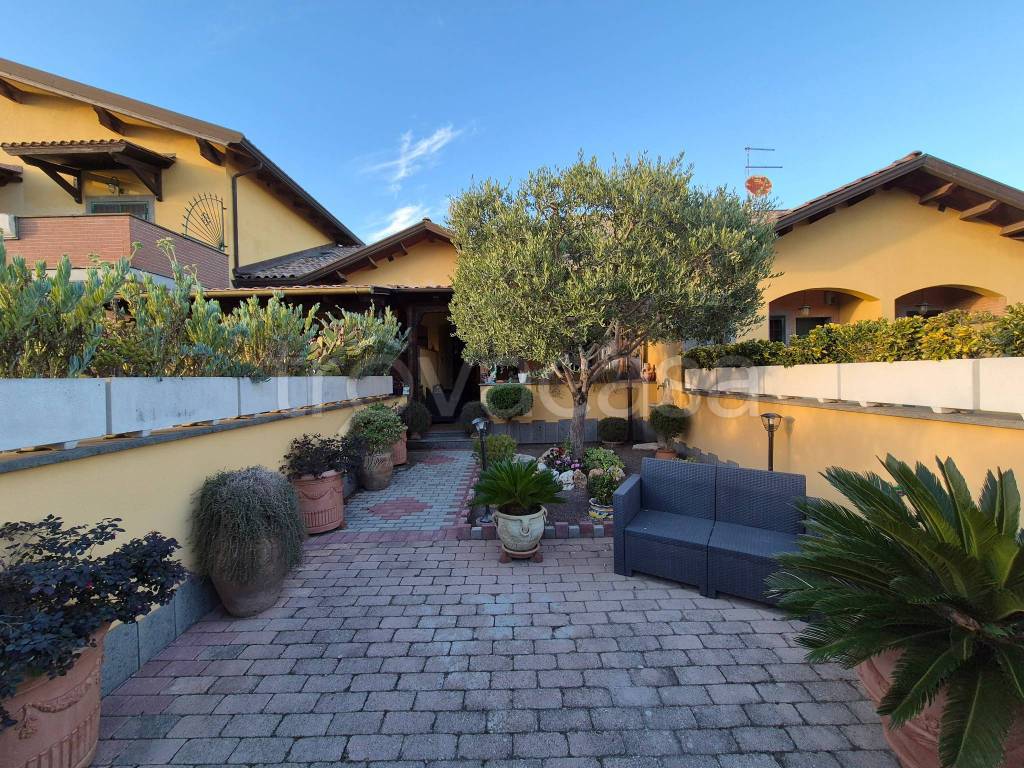 immagine annuncio 1 di 15