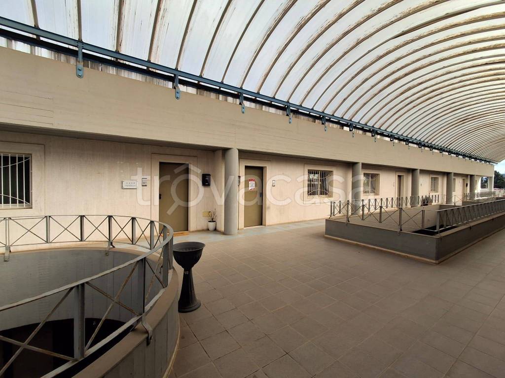 immagine annuncio 2 di 12