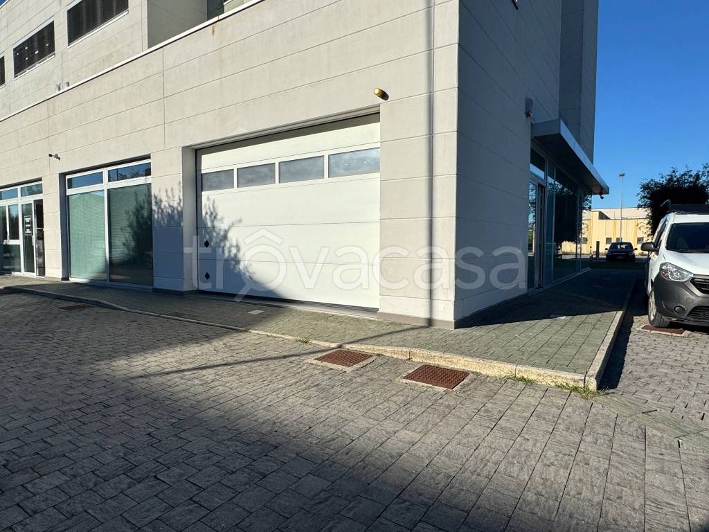 immagine annuncio 2 di 12