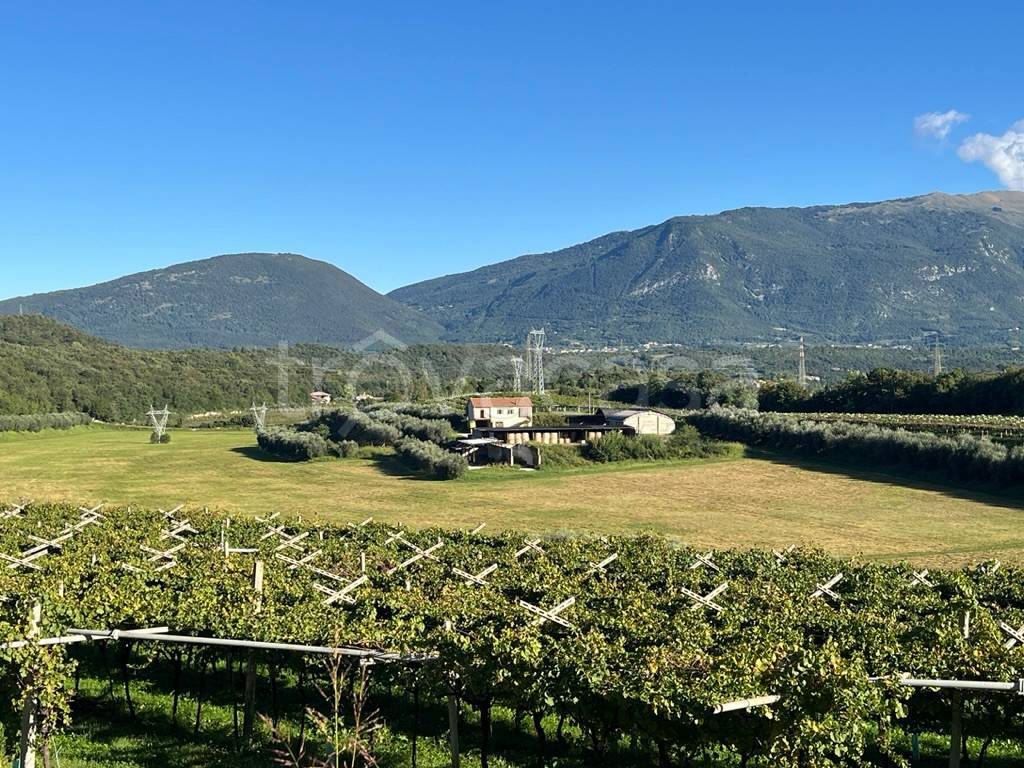 immagine annuncio 2 di 7