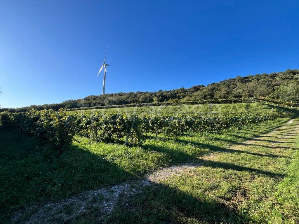 immagine annuncio 6 di 7