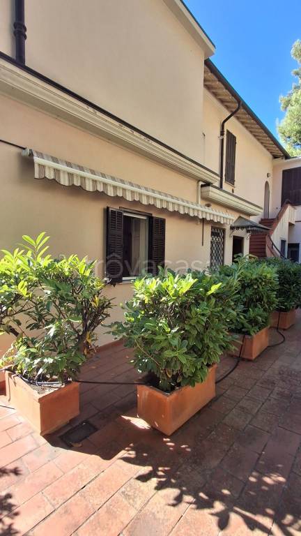 immagine annuncio 6 di 12