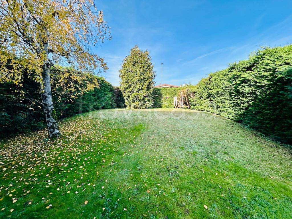 immagine annuncio 12 di 14