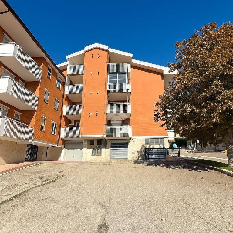 immagine annuncio 6 di 8