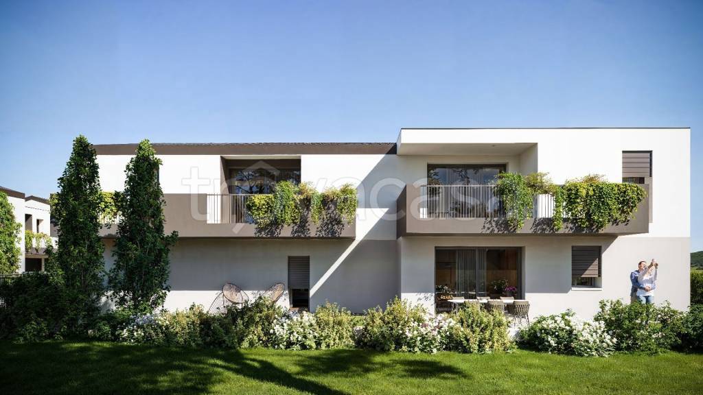 immagine annuncio 6 di 12