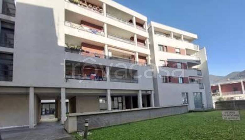 immagine annuncio 3 di 9