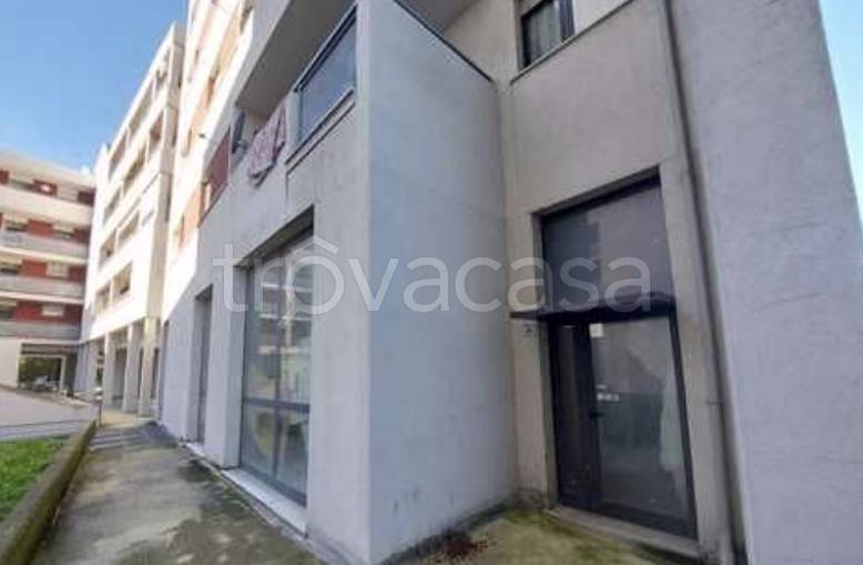 immagine annuncio 4 di 9