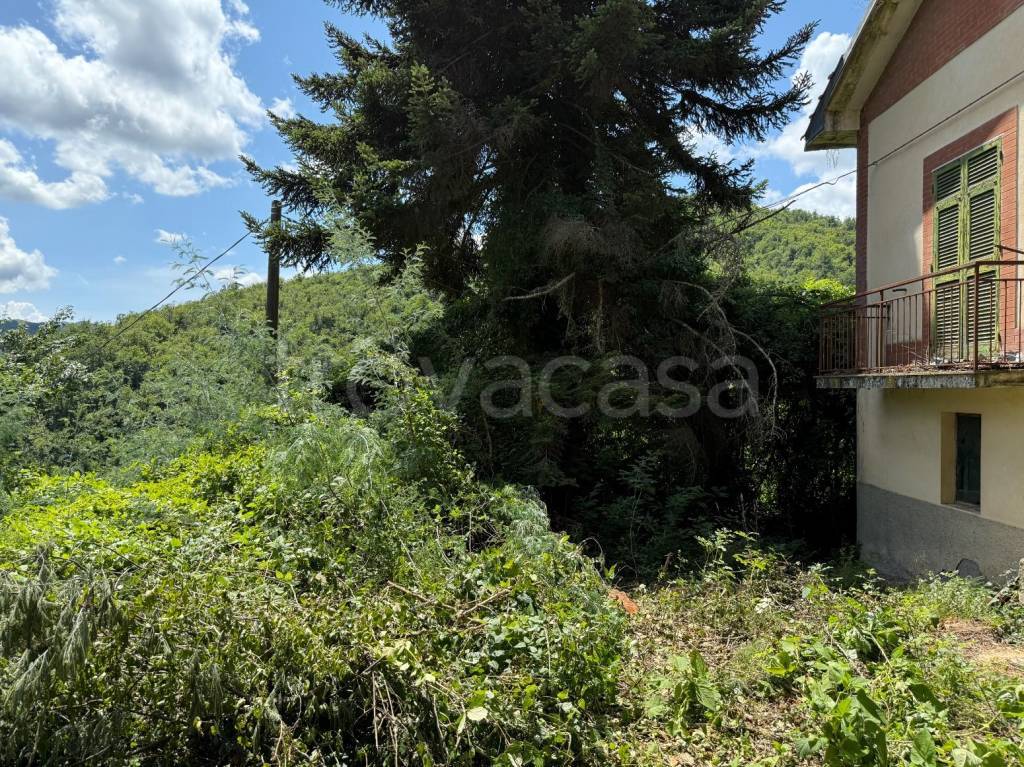 immagine annuncio 4 di 14