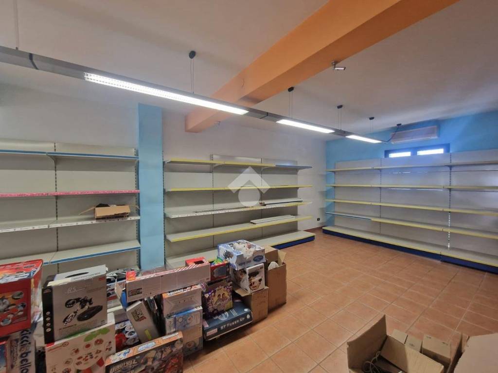 immagine annuncio 12 di 13