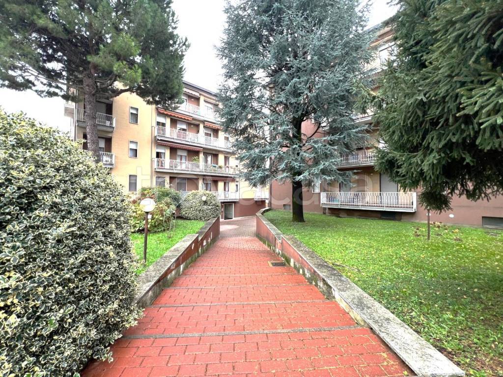 immagine annuncio 11 di 12