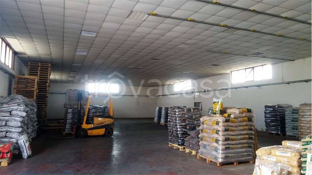 immagine annuncio 1 di 2