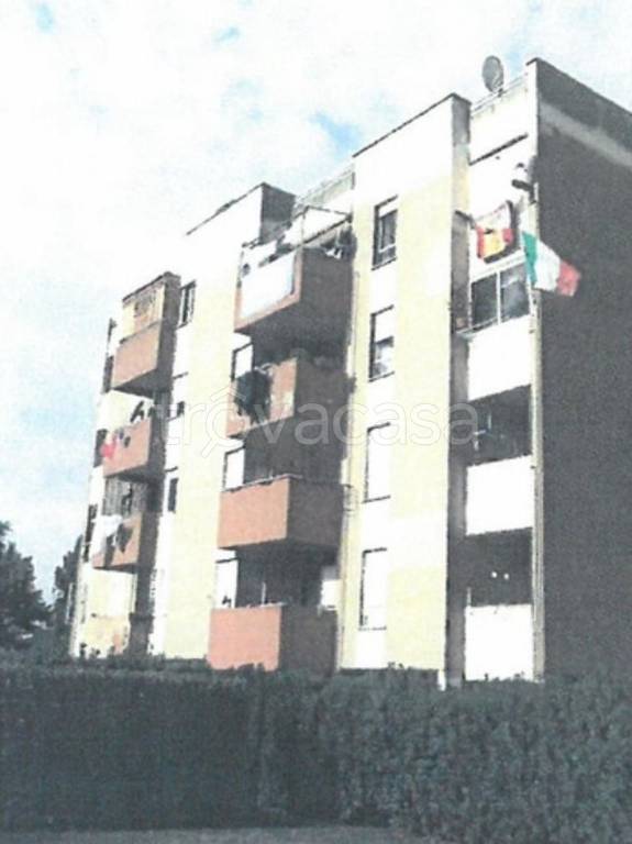 immagine annuncio 3 di 11