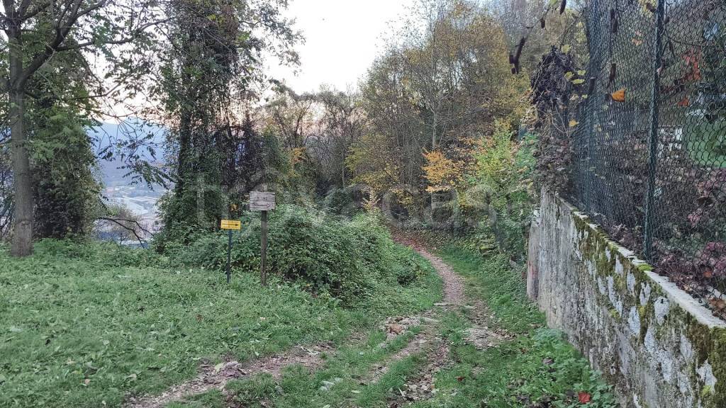 immagine annuncio 7 di 9