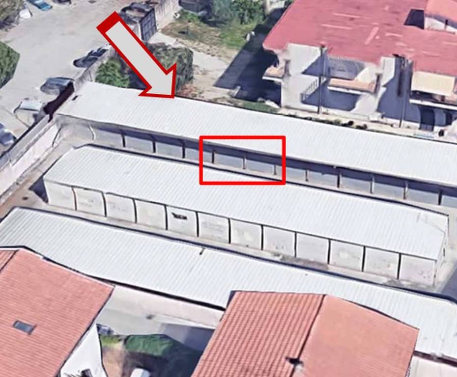 immagine annuncio 4 di 11