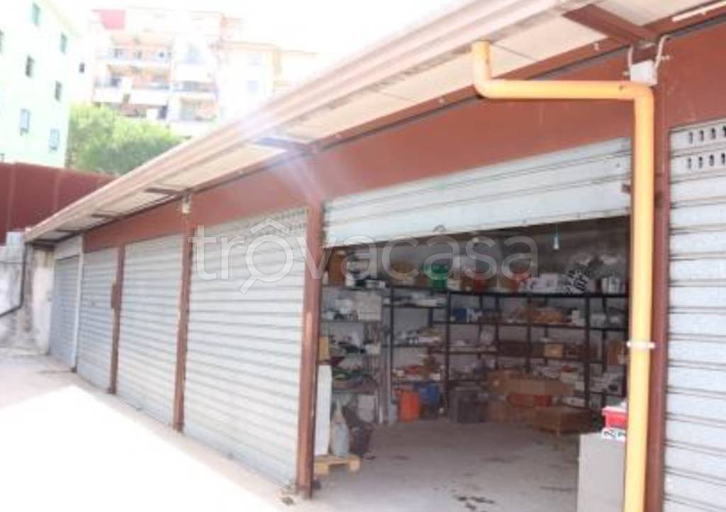 immagine annuncio 9 di 11