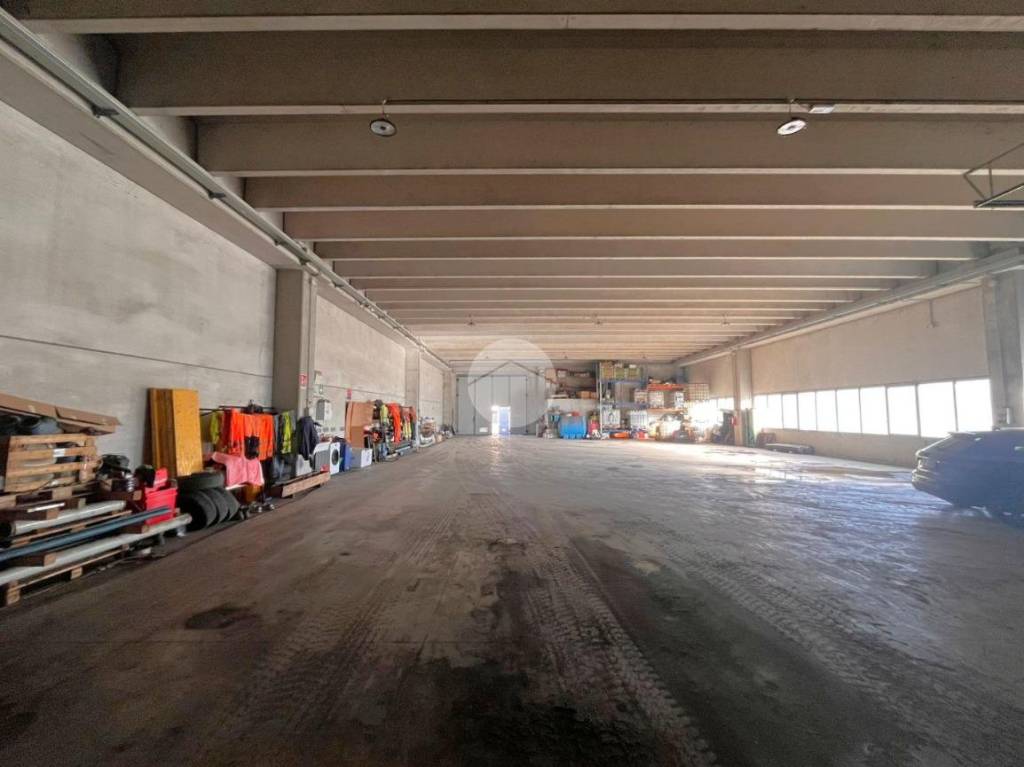 immagine annuncio 7 di 15