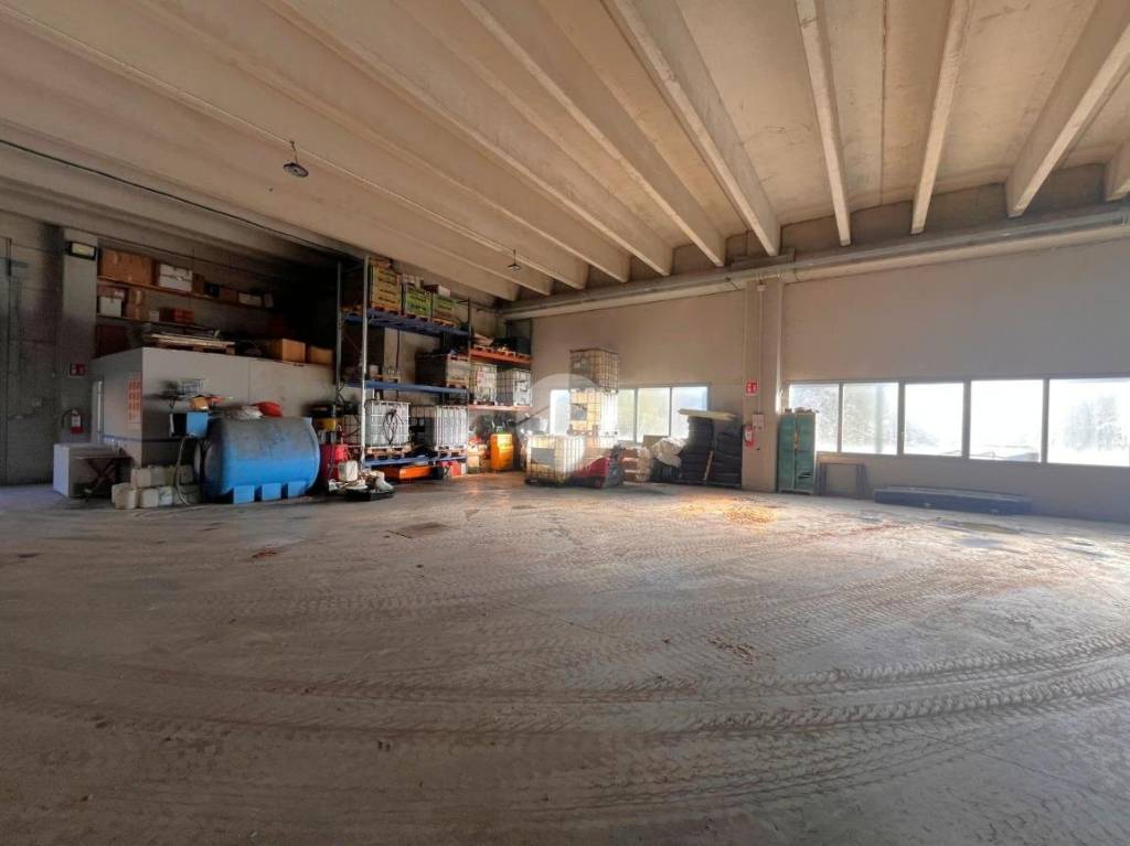 immagine annuncio 11 di 15