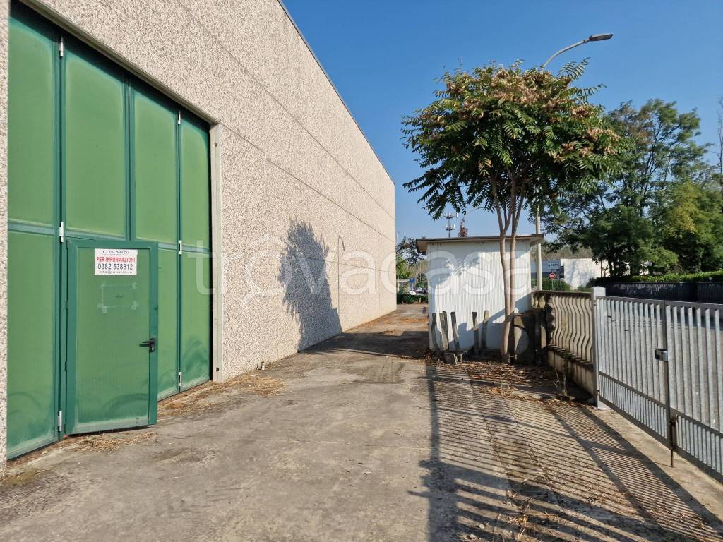 immagine annuncio 14 di 15