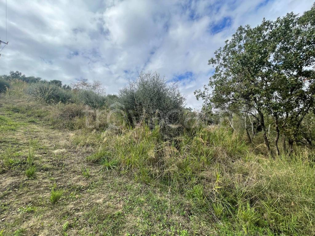 immagine annuncio 5 di 9