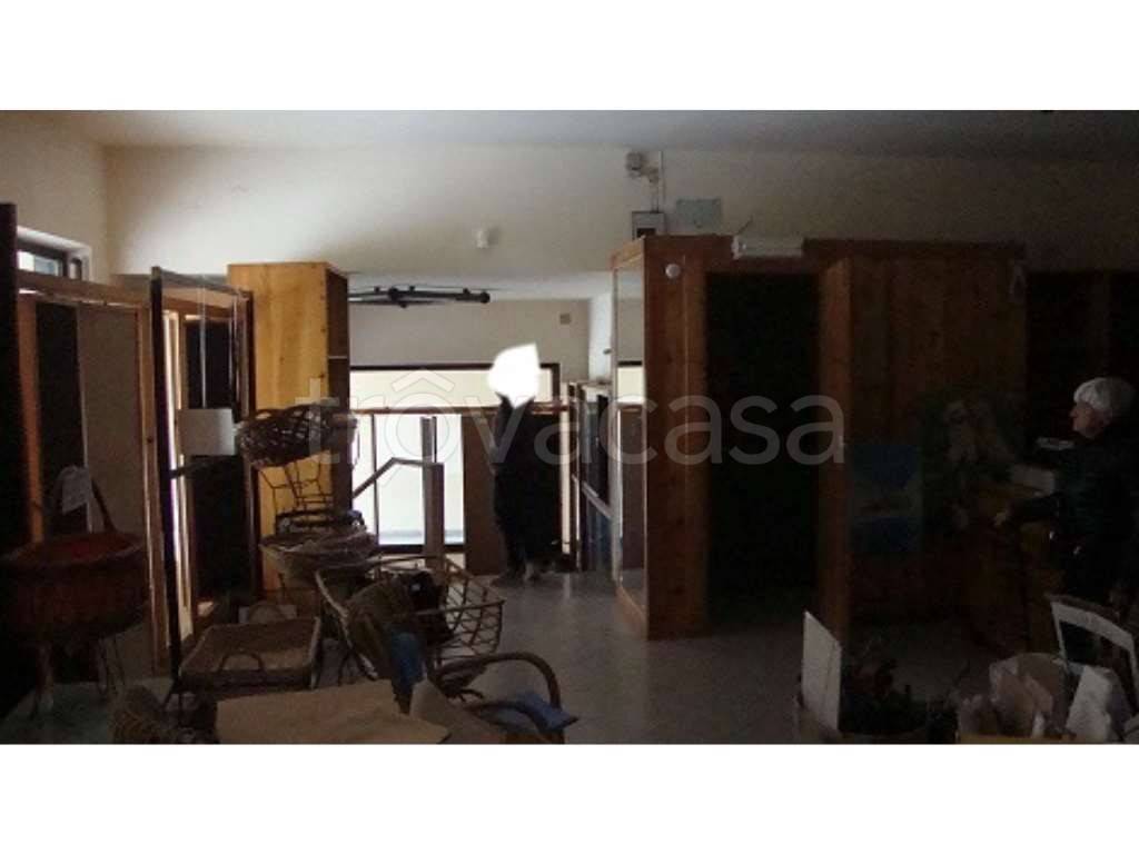 immagine annuncio 6 di 11