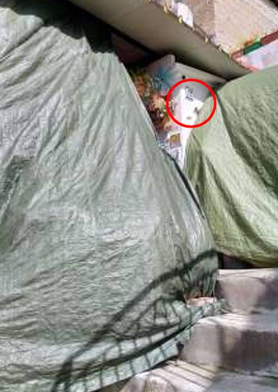 immagine annuncio 11 di 13