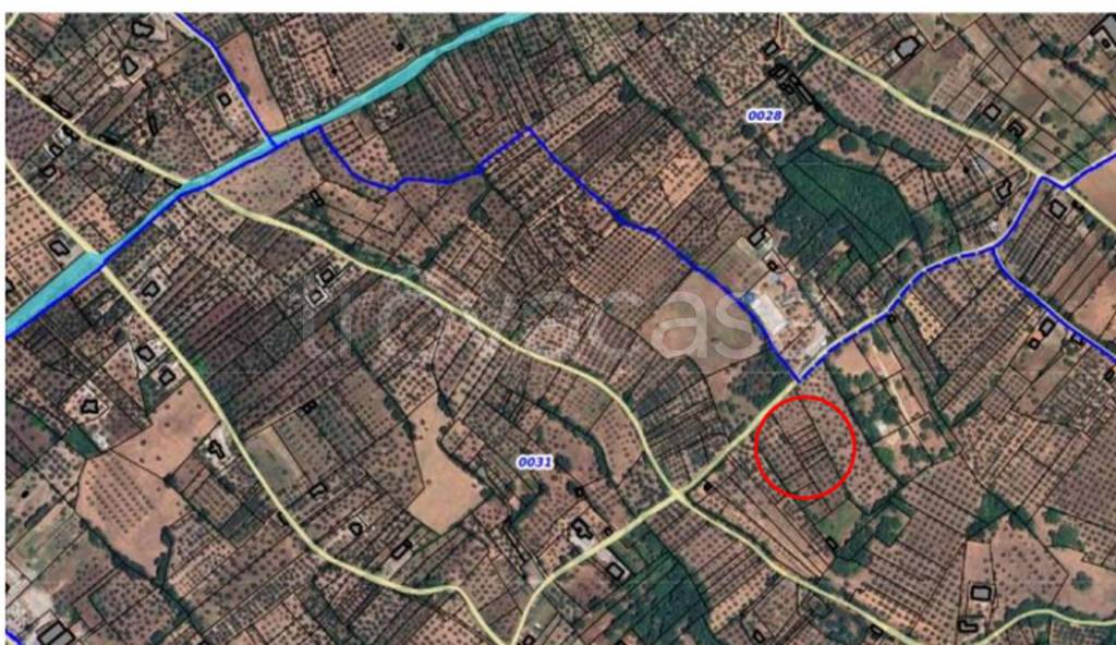 immagine annuncio 2 di 13