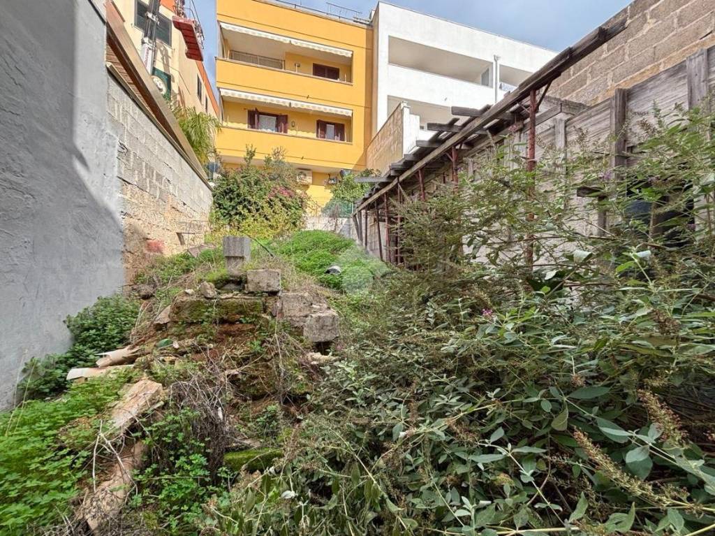 immagine annuncio 3 di 12