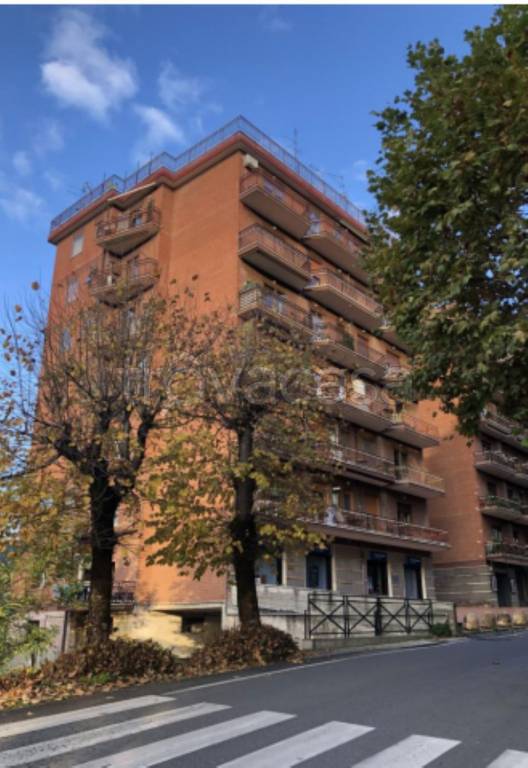 immagine annuncio 10 di 12