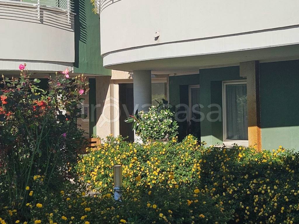 immagine annuncio 3 di 6