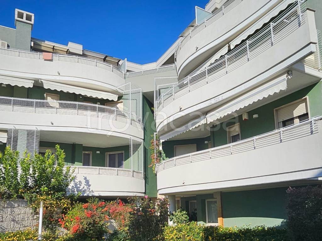 immagine annuncio 4 di 6