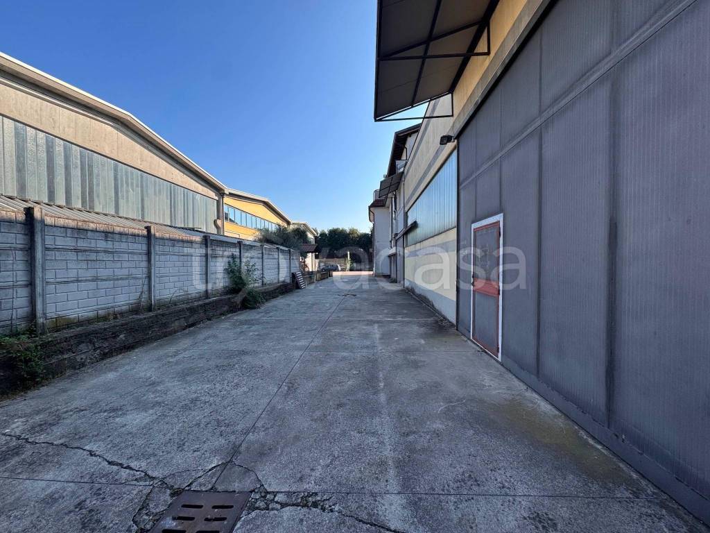 immagine annuncio 7 di 15