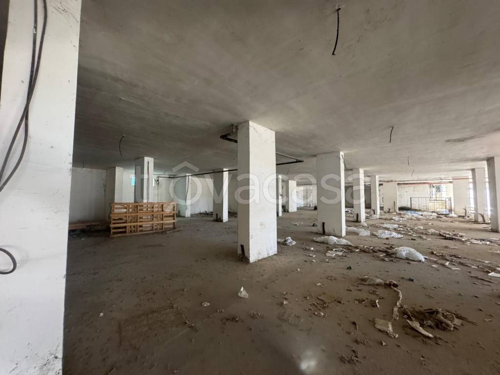 immagine annuncio 7 di 14