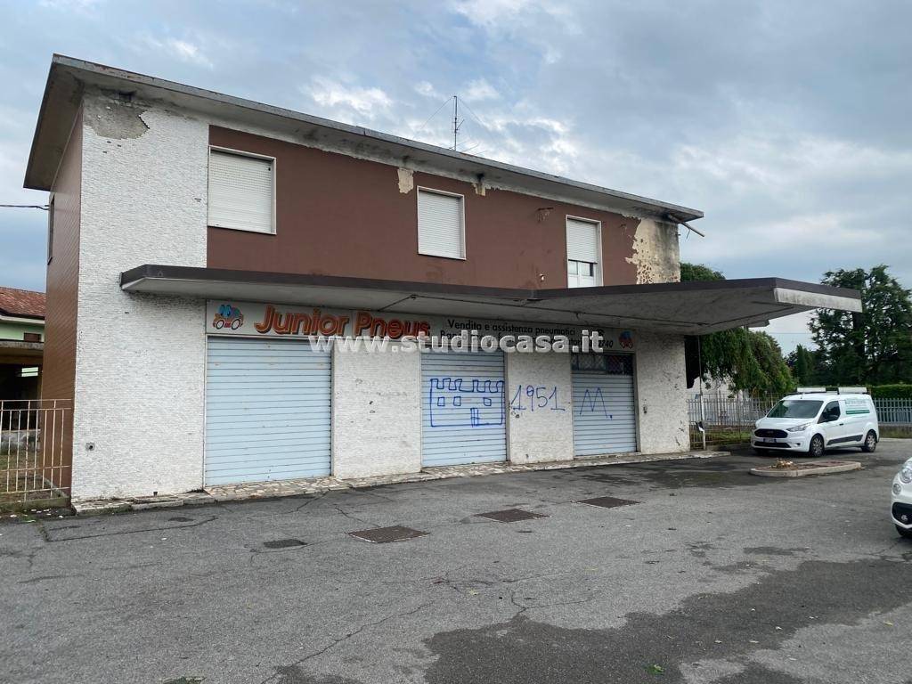 immagine annuncio 12 di 15